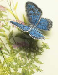 Book - The Art of Embroidered Butterflies by Jane E. Hall